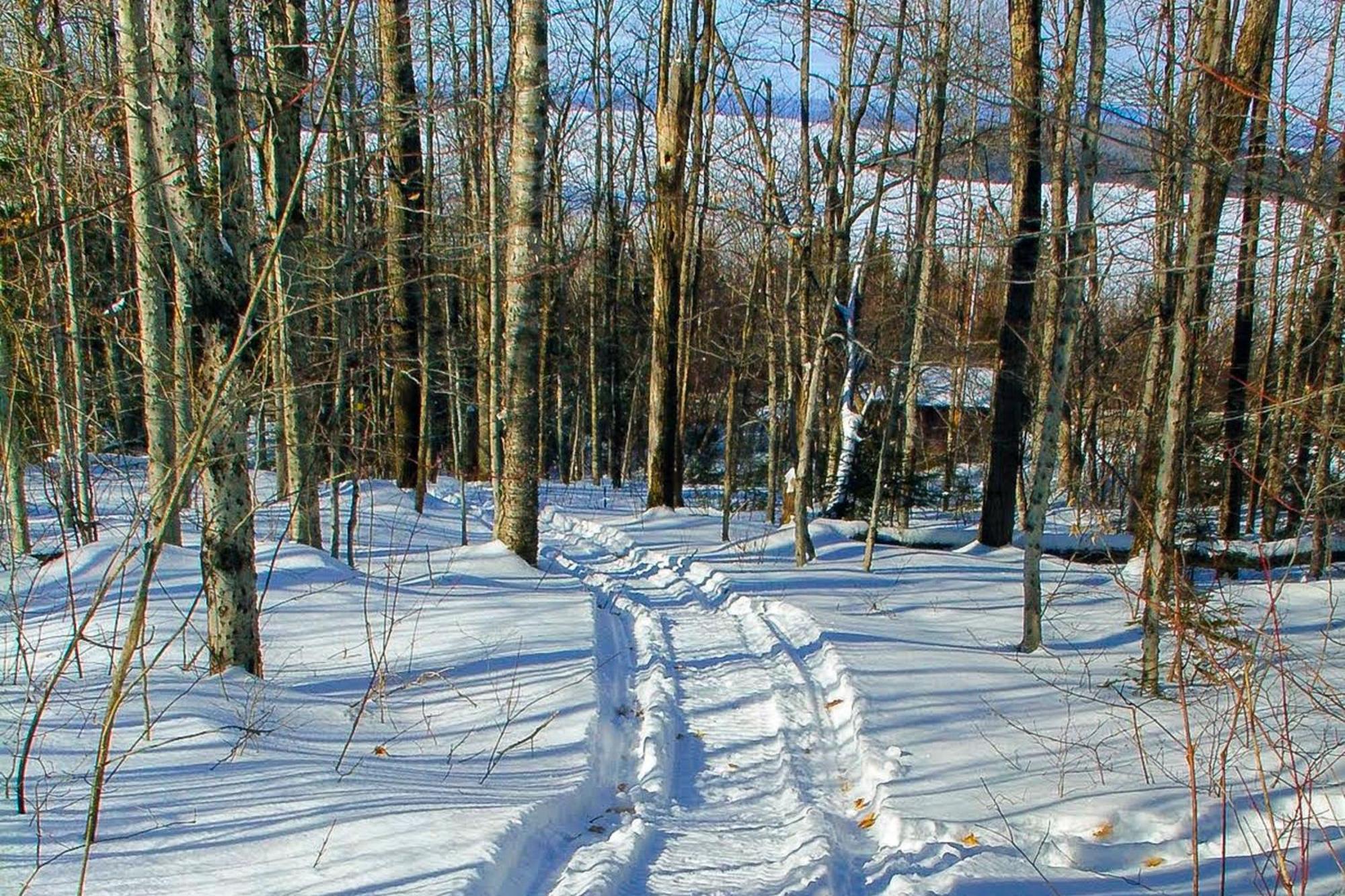 Eagle'S Nest Villa Greenville Dış mekan fotoğraf